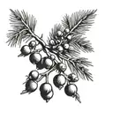 Juniper branch with berries tattoo design idea