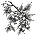 Juniper branch with berries tattoo design idea