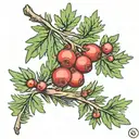 Juniper branch with berries tattoo design idea