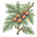 Juniper branch with berries tattoo design idea