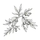 Juniper branch with berries tattoo design idea