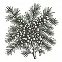 Juniper branch with berries tattoo design idea