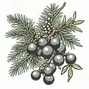 Juniper branch with berries tattoo design idea