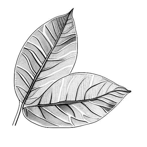 two mint leaves on a black background tattoo design idea
