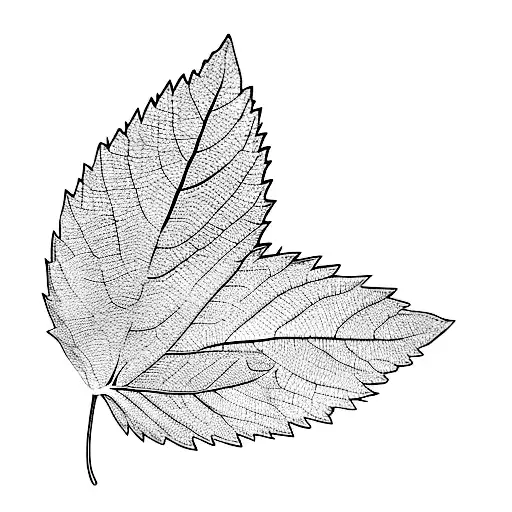 two mint leaves on a black background tattoo design idea