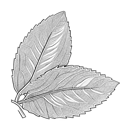 two mint leaves on a black background tattoo design idea