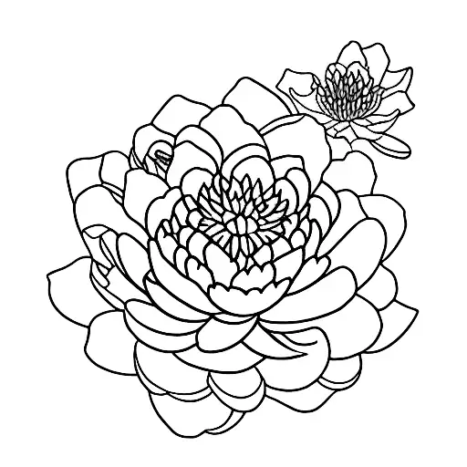 carnation water lily larkspur morning glory peony chrysanthemum holly narcussus tattoo design idea