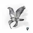 Ravens and dove face to face with their wing deployed tattoo design idea