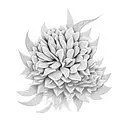 celosia flower tattoo design idea