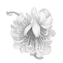 chrysanthemums, snowdrop, and iris  tattoo design idea