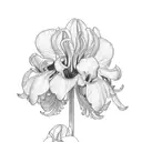 chrysanthemums, snowdrop, and iris  tattoo design idea