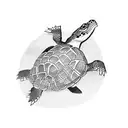 japanese turtle tattoo with polynesian twist  tattoo design idea