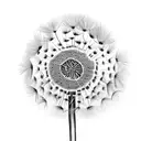 A Dandelion with a long stem, the flower part has a circle behind it, and there's a teardrop somewhere on the tattoo tattoo design idea