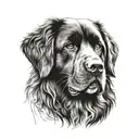 Newfoundland dog surrounded tattoo design idea