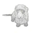 silky wire hair Dachshund tattoo design idea