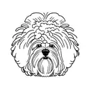 bichon havanese head tattoo design idea