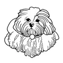 bichon havanese head tattoo design idea