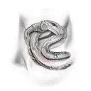 python wrapping neck tattoo design idea