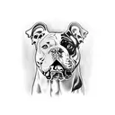 american bulldog tattoo design idea