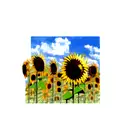 Sunflower tattoo design idea