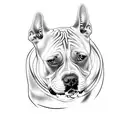 pitbull dog tattoo design idea