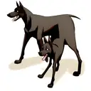 Doberman tattoo design idea