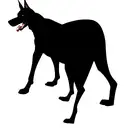 Doberman tattoo design idea