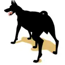 Doberman tattoo design idea