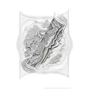 topographic map tattoo design idea