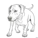 rhodesian ridgeback femelle tattoo design idea