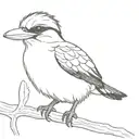 kookaburra tattoo design idea