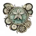 broke  sand dollar tattoo design idea