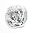 realism rose pink red colour around nipple tattoo design idea