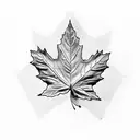 maple leaf that looks like flapping italian flag  tattoo design idea