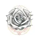 A traditional tattoo design of a rose intertwined with a paw print, symbolizing the love for your dog Kiara Rose tattoo design idea