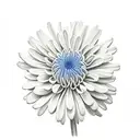 Chrysanthemum tattoo design idea