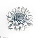 Chrysanthemum tattoo design idea