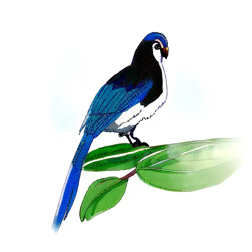 pássaro azul, pequenas flores de jasmim em um dia de chuva e a voz doce e rara da minha mãe  tattoo design idea
