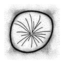 fireworks tattoo design idea