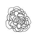 jasmine flower with the date 03/07/98  tattoo design idea