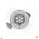 circle with the inside divided into Three equal parts. 1.part with a turtle in it. one part with a monkey in it and one  tattoo design idea