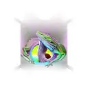 lizard going through a portal. Half of lizard through the portal is full black. The other half of lizard is colorful tattoo design idea