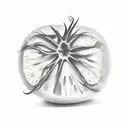 tomato tattoo design idea