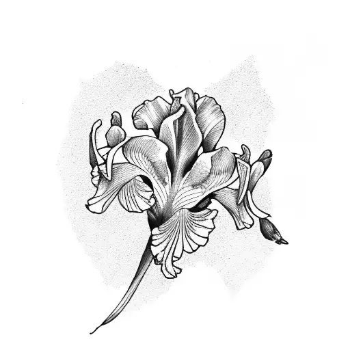 iris flower tattoo design idea