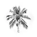 Palm Tree tattoo design idea