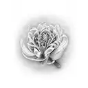 elegant hyacinth tattoo design idea