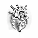 An anatomically correct heart split in half. One Side dark, one side bright tattoo design idea