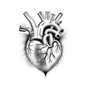 An anatomically correct heart split in half. One Side dark, one side bright tattoo design idea