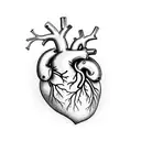 An anatomically correct heart split in half. One Side dark, one side bright tattoo design idea