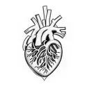 An anatomically correct heart split in half. One Side dark, one side bright tattoo design idea